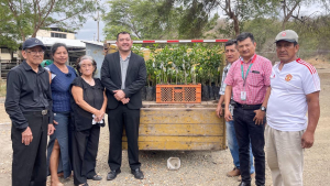 325 nuevas plantas llegaron al Recinto Ramo Grande de nuestra parroquia La América: 250 de cacao y 75 de cítricos.
